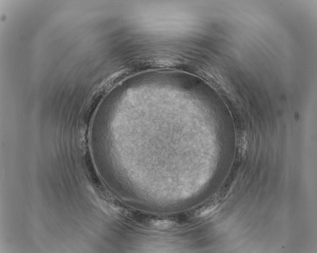 X0000088390360200706121216