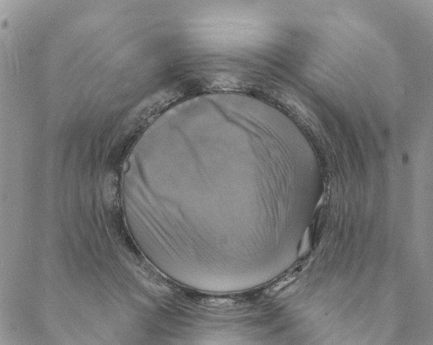 X0000088390361200706121216