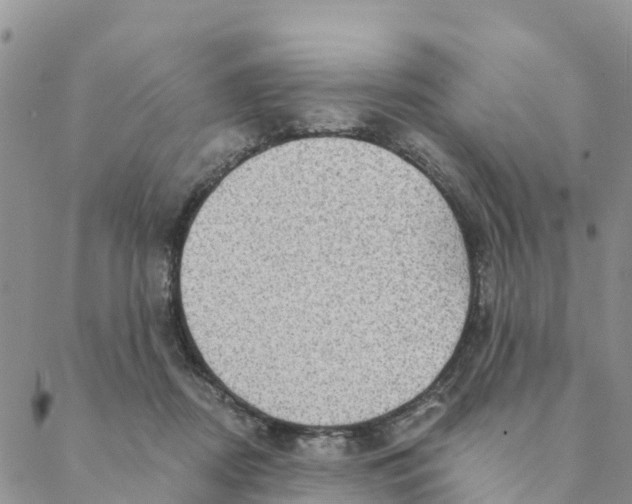 X0000088390362200706121216