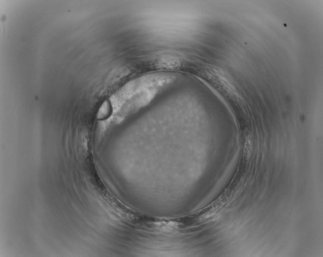 X0000088390363200706121216