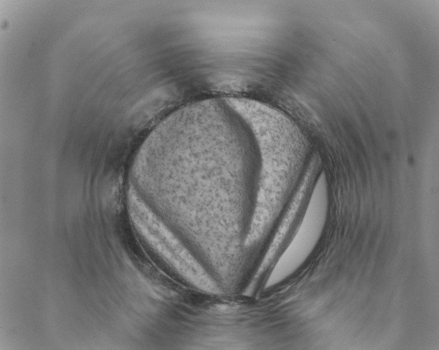 X0000088390364200706121216