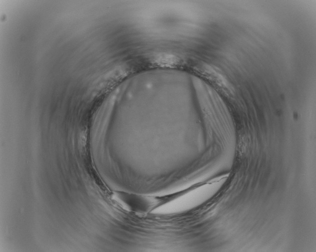 X0000088390365200706121216