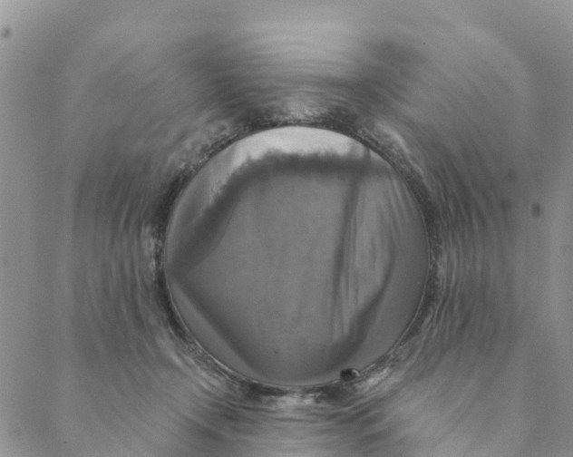 X0000088390366200706121216