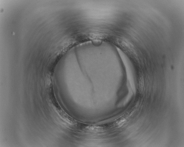 X0000088390367200706121216