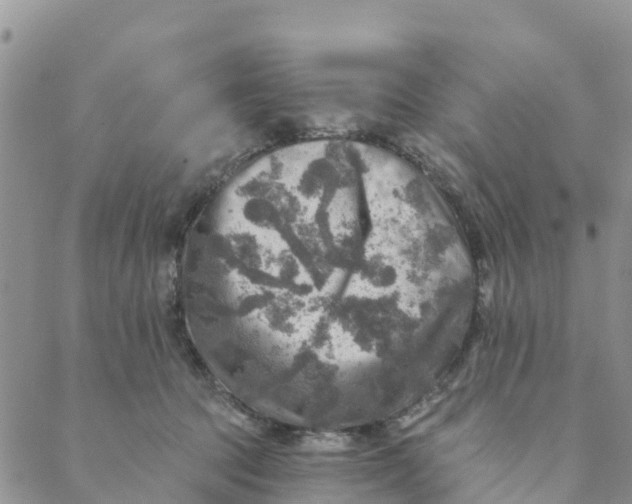 X0000088390369200706121216