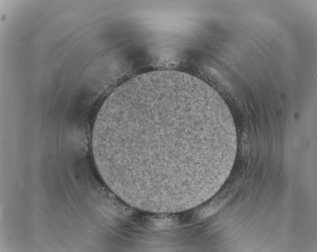 X0000088390370200706121216