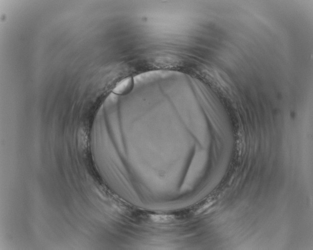 X0000088390371200706121216