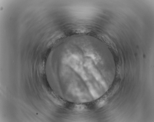 X0000088390376200706121216