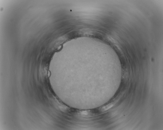 X0000088390382200706121216