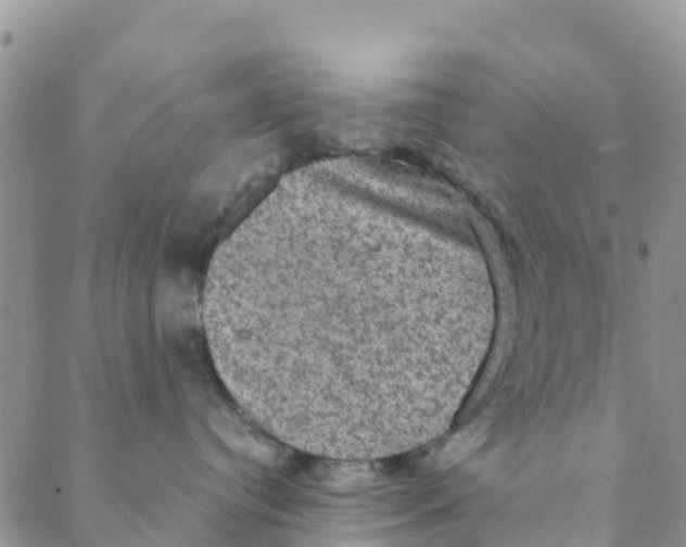 X0000088390384200706121216