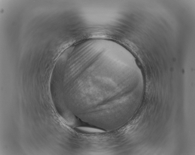 X0000088390385200706121215