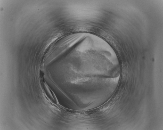 X0000088390386200706121215