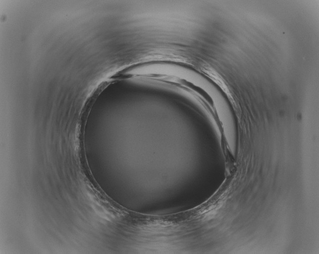 X0000088390387200706121215