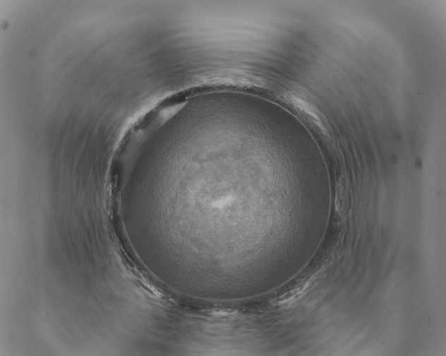 X0000088390388200706121215