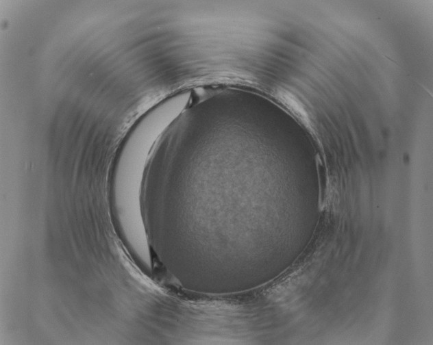 X0000088390389200706121215