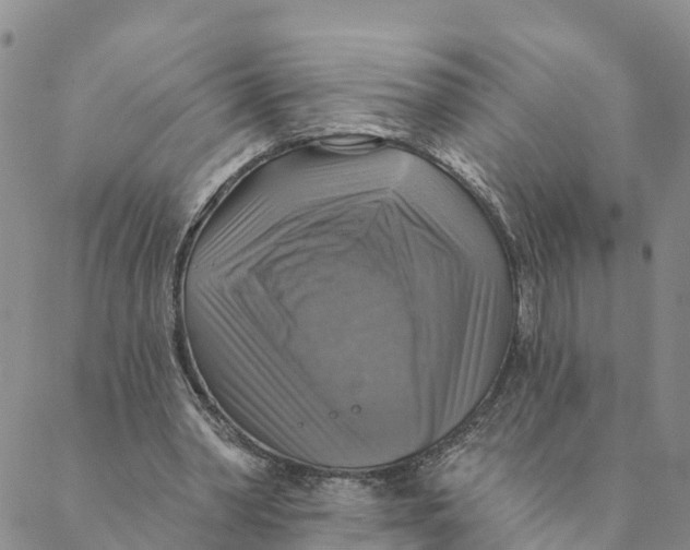 X0000088390390200706121215