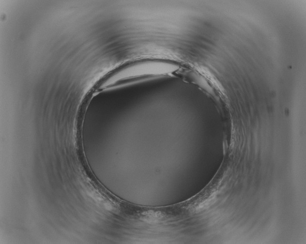 X0000088390391200706121215