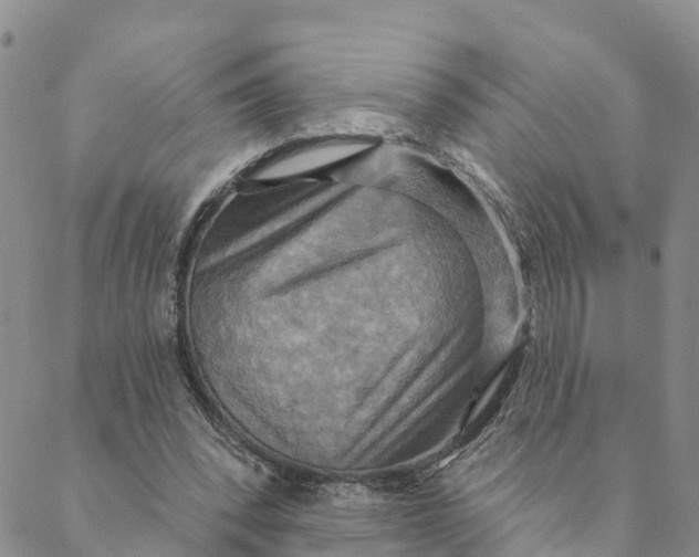 X0000088390392200706121215