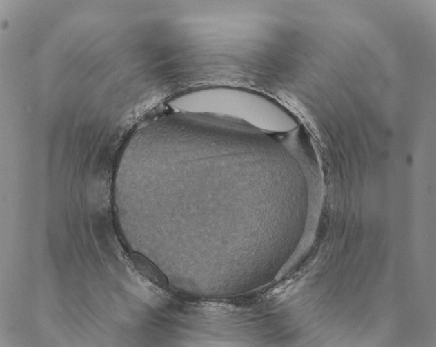 X0000088390393200706121215