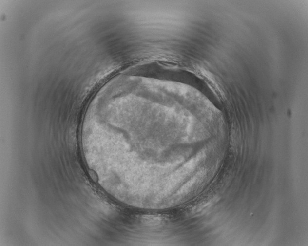 X0000088390394200706121215