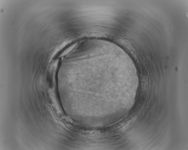 X0000088390395200706121215