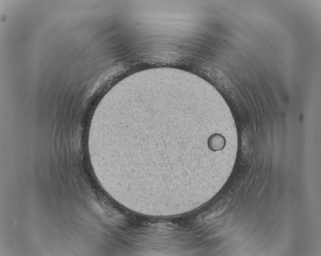 X0000088390396200706121215