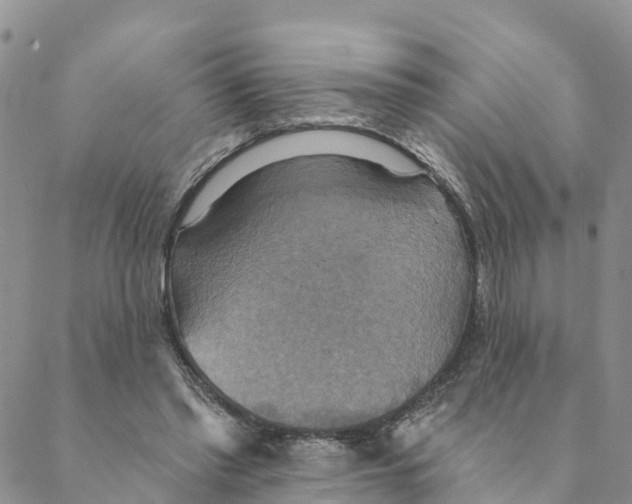 X0000088390397200706121215