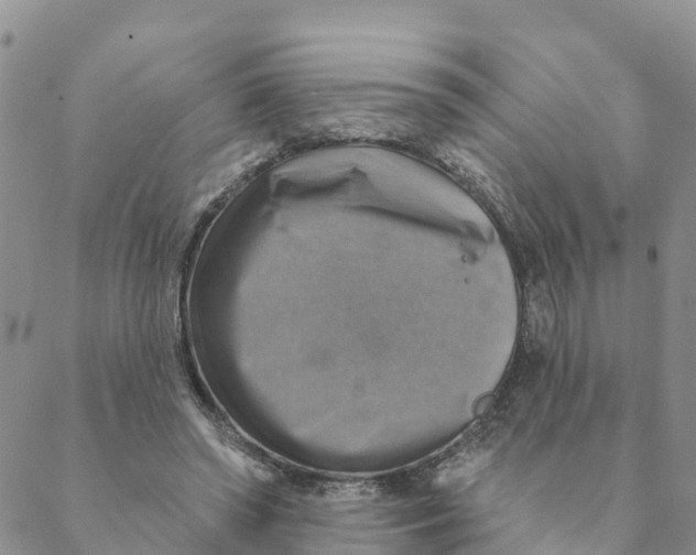 X0000088390398200706121215