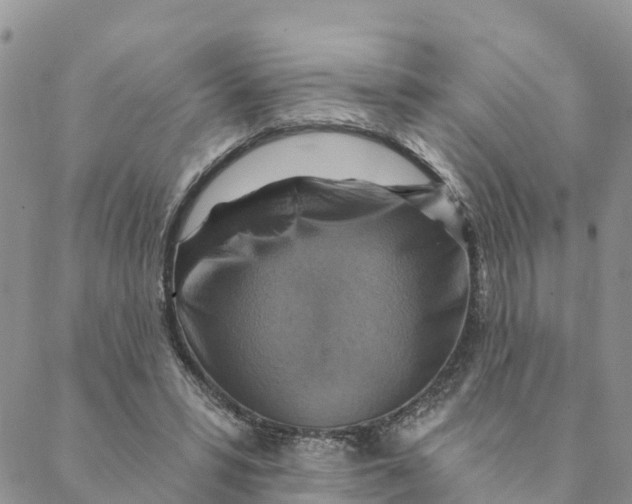 X0000088390399200706121215