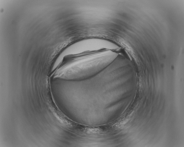 X0000088390401200706121215