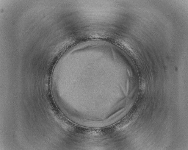 X0000088390402200706121215