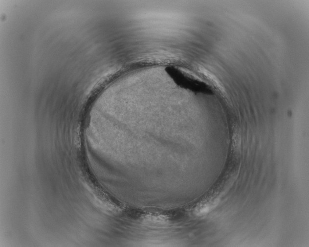 X0000088390403200706121215