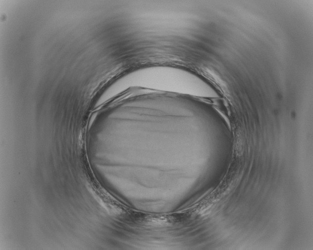 X0000088390405200706121215