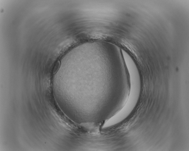 X0000088390407200706121215