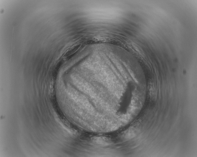 X0000088390408200706121215