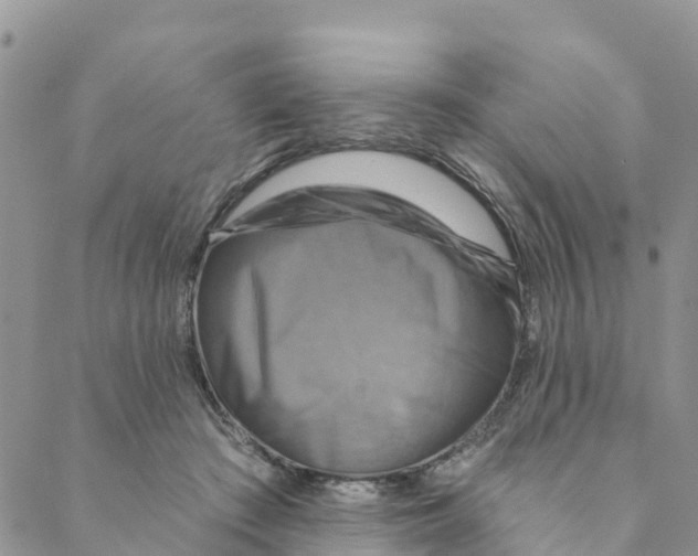 X0000088390409200706121215