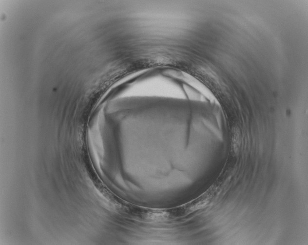 X0000088390410200706121215