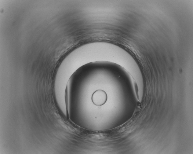 X0000088390411200706121215