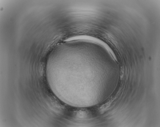 X0000088390412200706121215