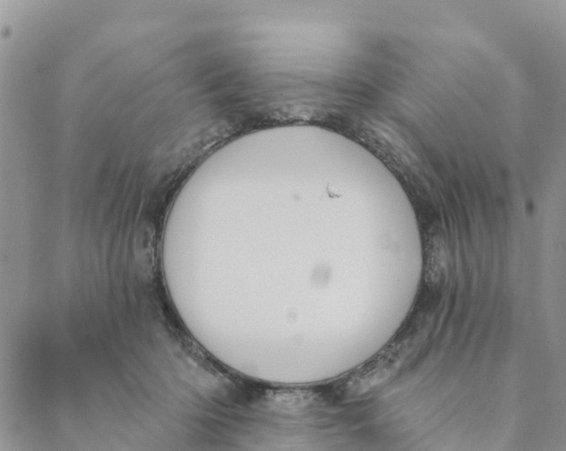 X0000088390414200706121215