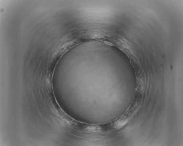 X0000088390415200706121215