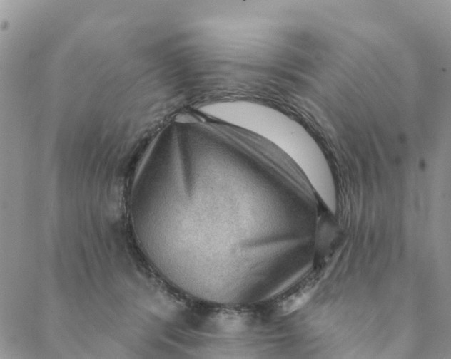 X0000088390416200706121215