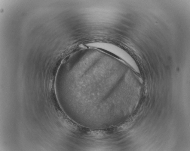 X0000088390417200706121215