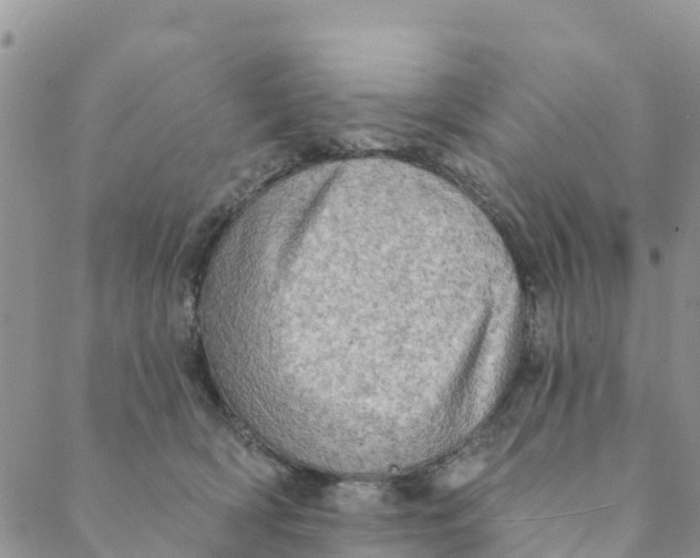 X0000088390418200706121215