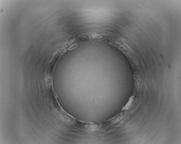 X0000088390419200706121215