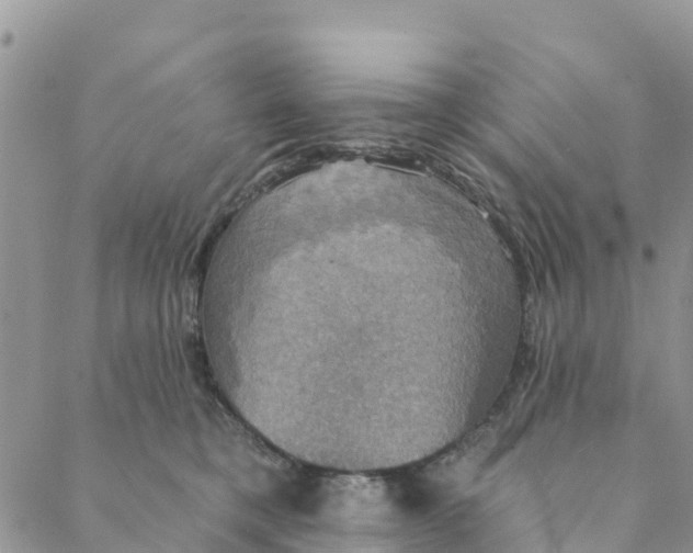 X0000088390421200706121215