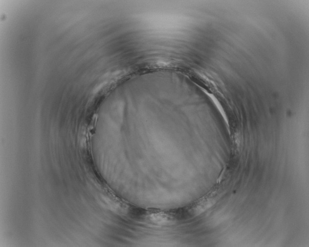 X0000088390423200706121215