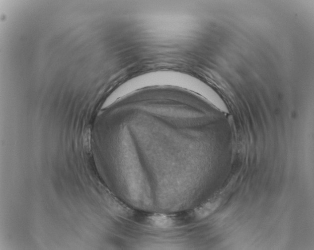 X0000088390425200706121215