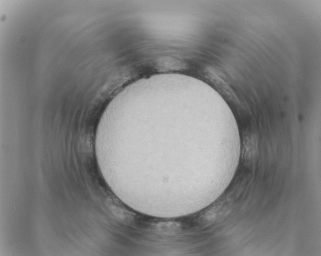 X0000088390426200706121215