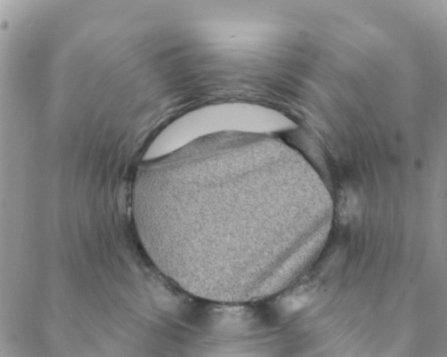 X0000088390428200706121215